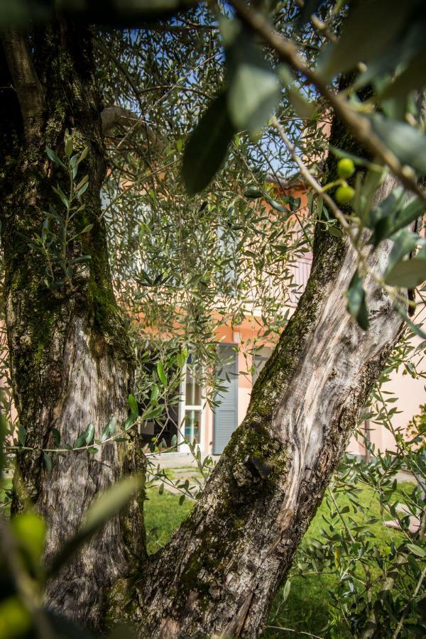 Maison Casa Lavanda Белладжо Экстерьер фото